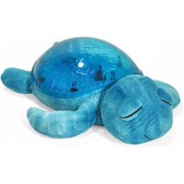 Tranquil turtle - aqua