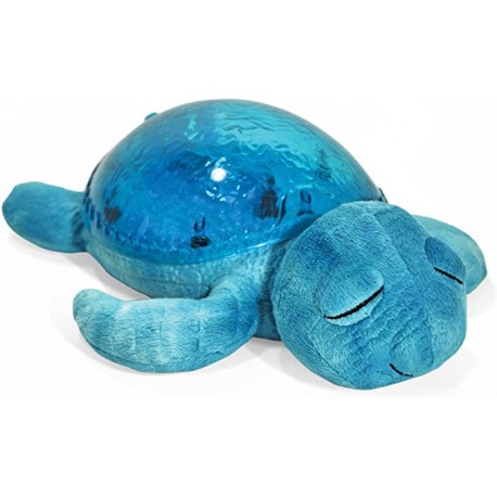 Tranquil turtle - aqua